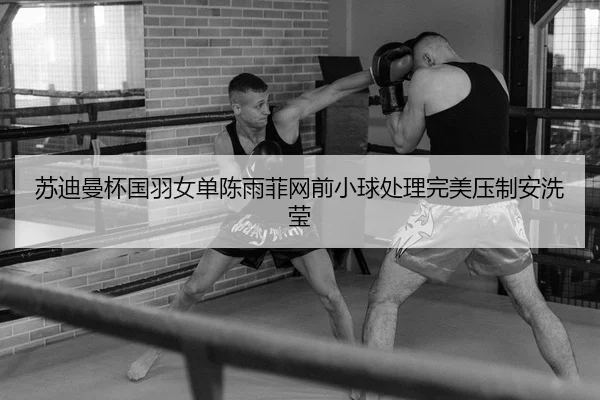 苏迪曼杯国羽女单陈雨菲网前小球处理完美压制安洗莹